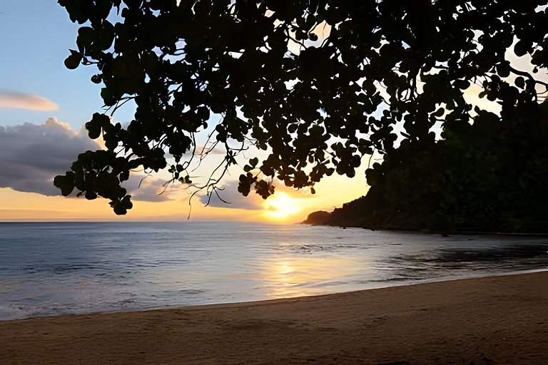 Chalé Castilho reconexão com a natureza